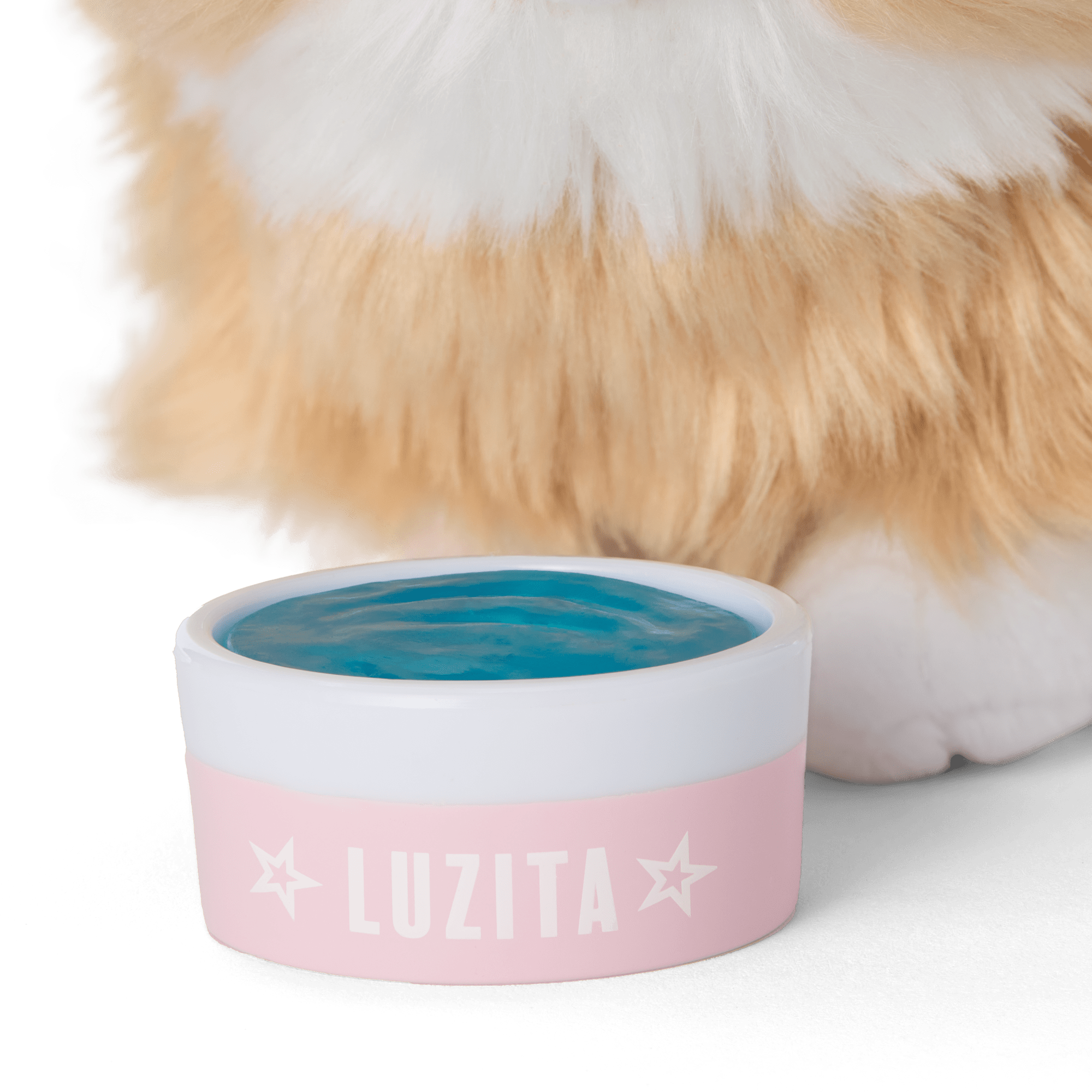 Raquel's Dog. Luzita (Girl of the Year 2026) - Image 5