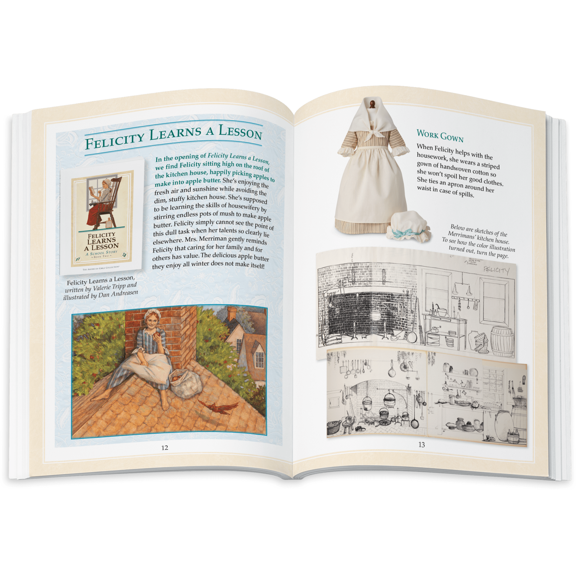Felicity Merriman 18-inch Doll. Book & Accessories (Historical Characters) - Image 13