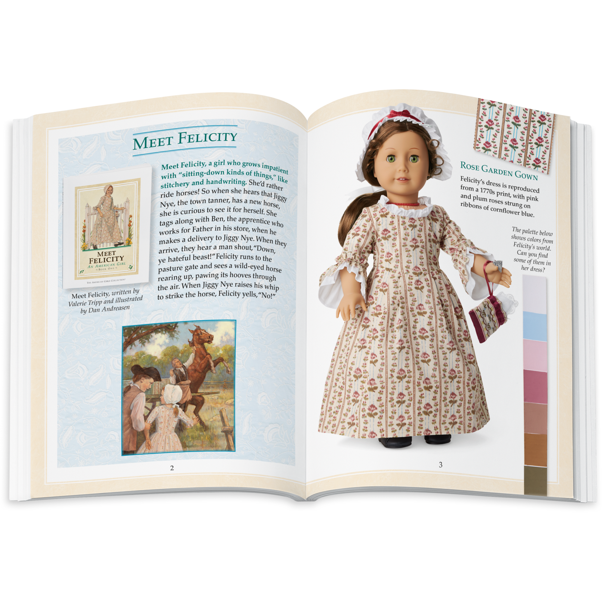 Felicity Merriman 18-inch Doll. Book & Accessories (Historical Characters) - Image 12