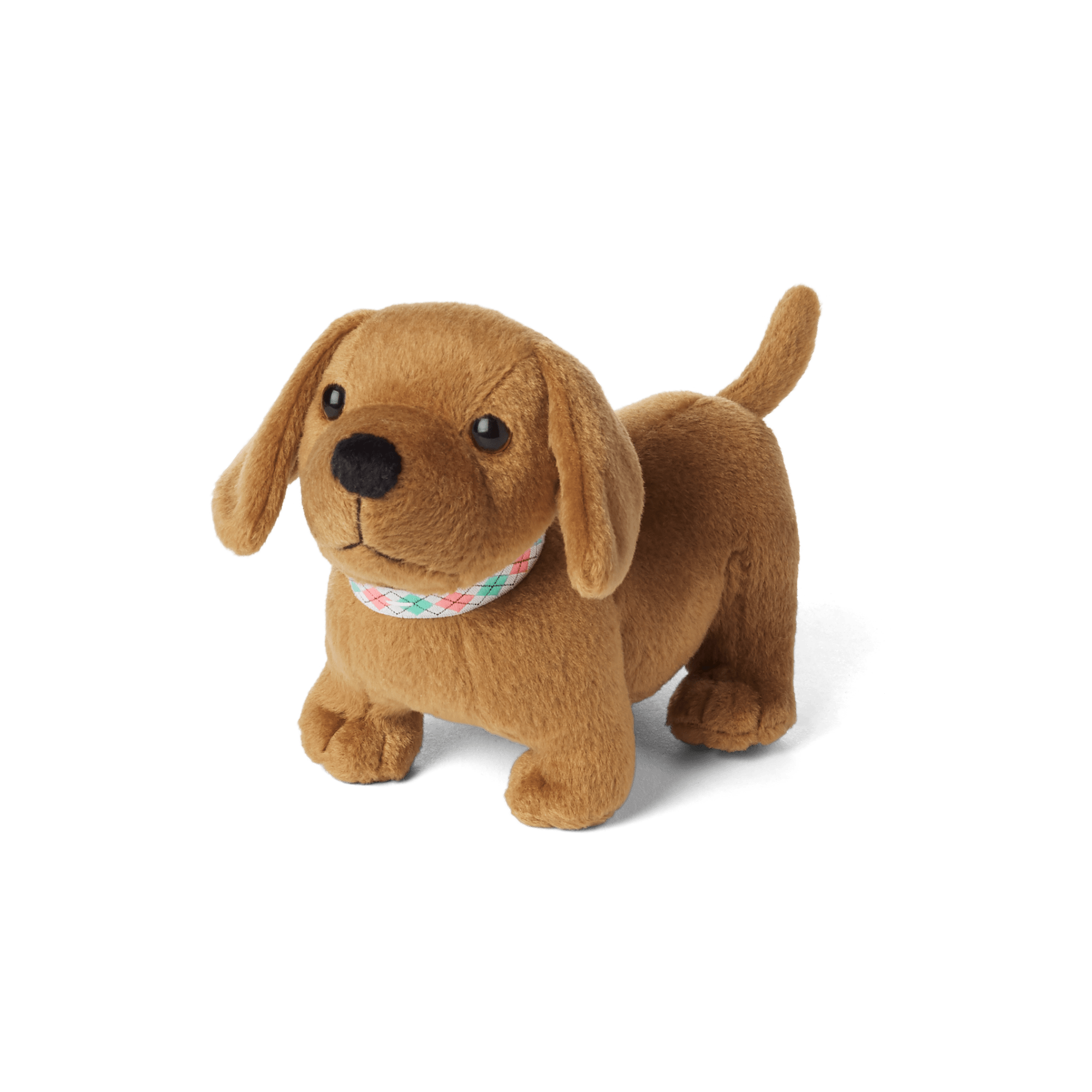 Maryellen's Dog. Scooter (Historical Characters) - Image 3