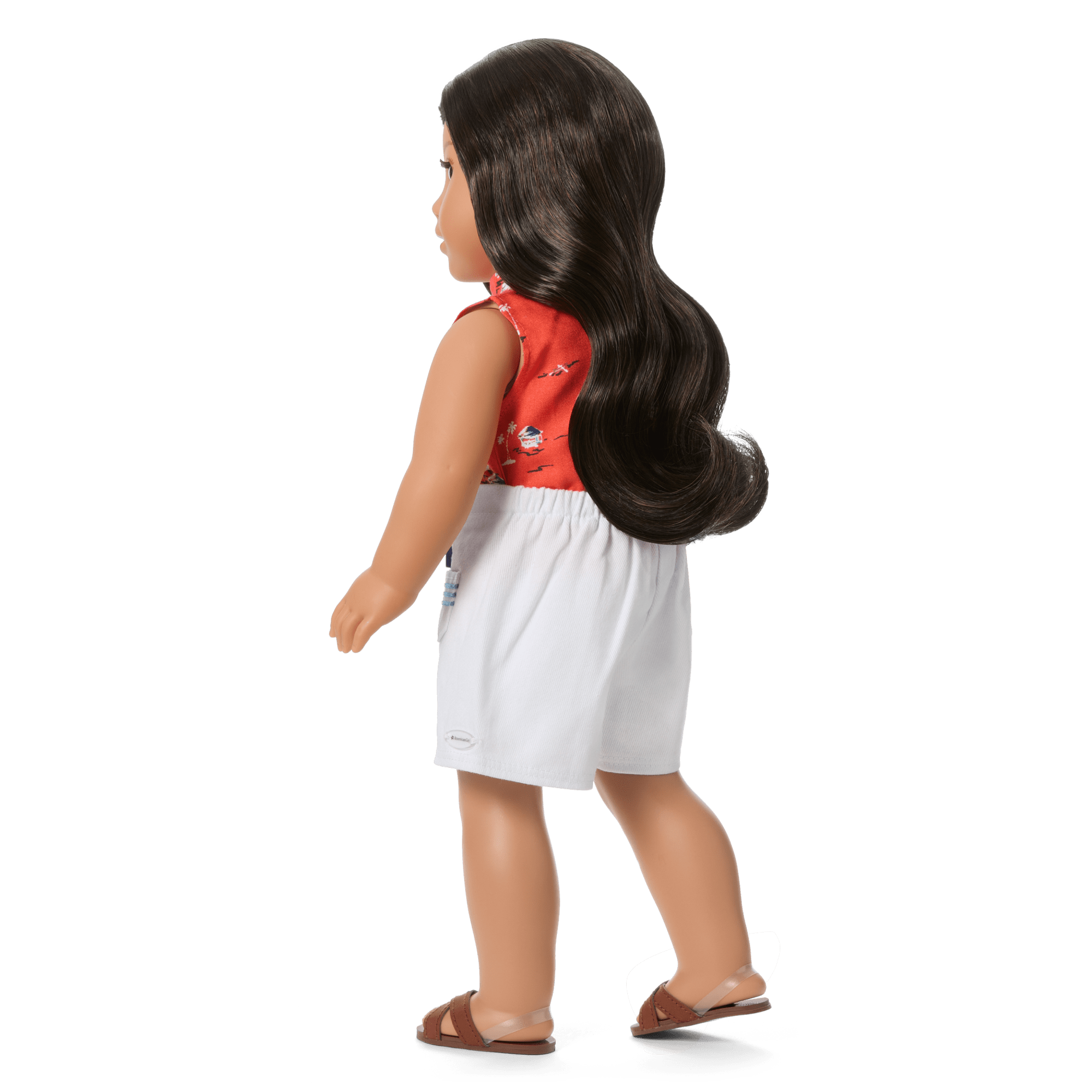Nanea 18-inch Doll. Book. Accessories & Doll Carrier (Historical Characters) - Image 3