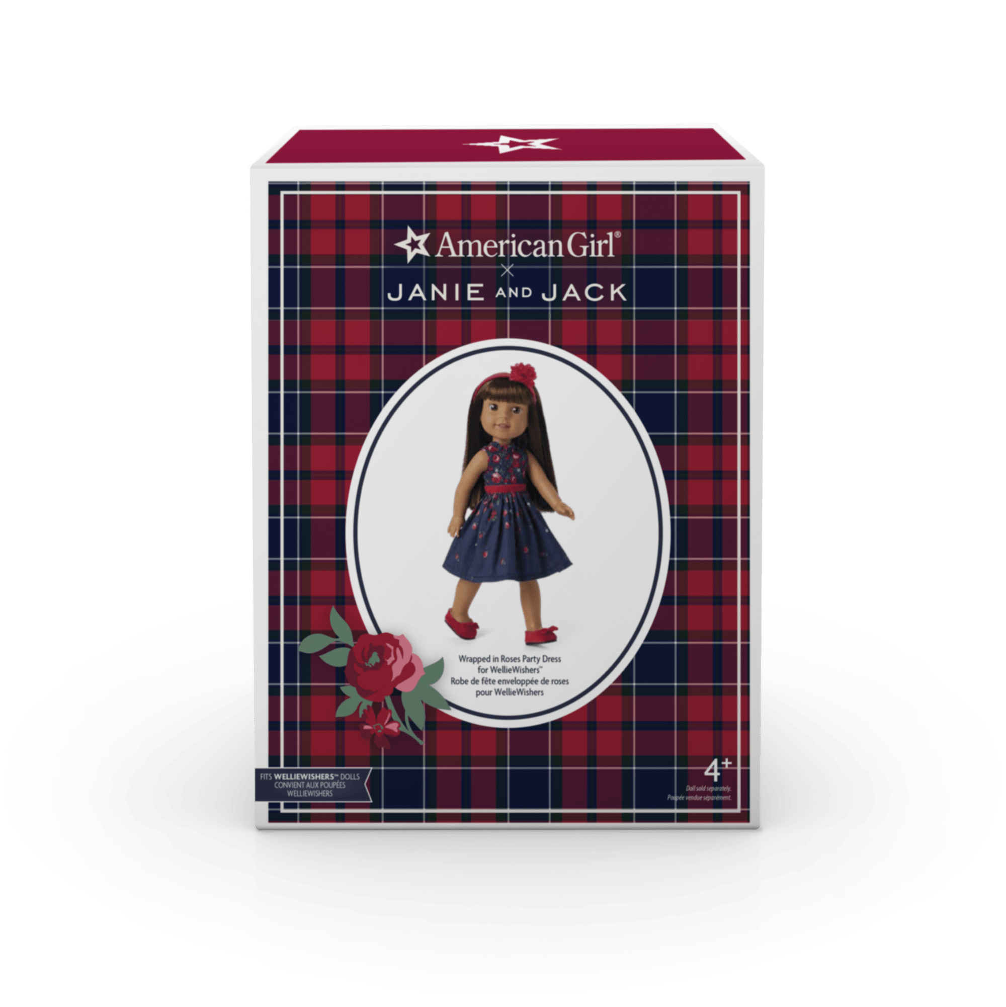 American Girl x Janie and Jack Wrapped in Roses Party Dress for WellieWishers Dolls - Image 7
