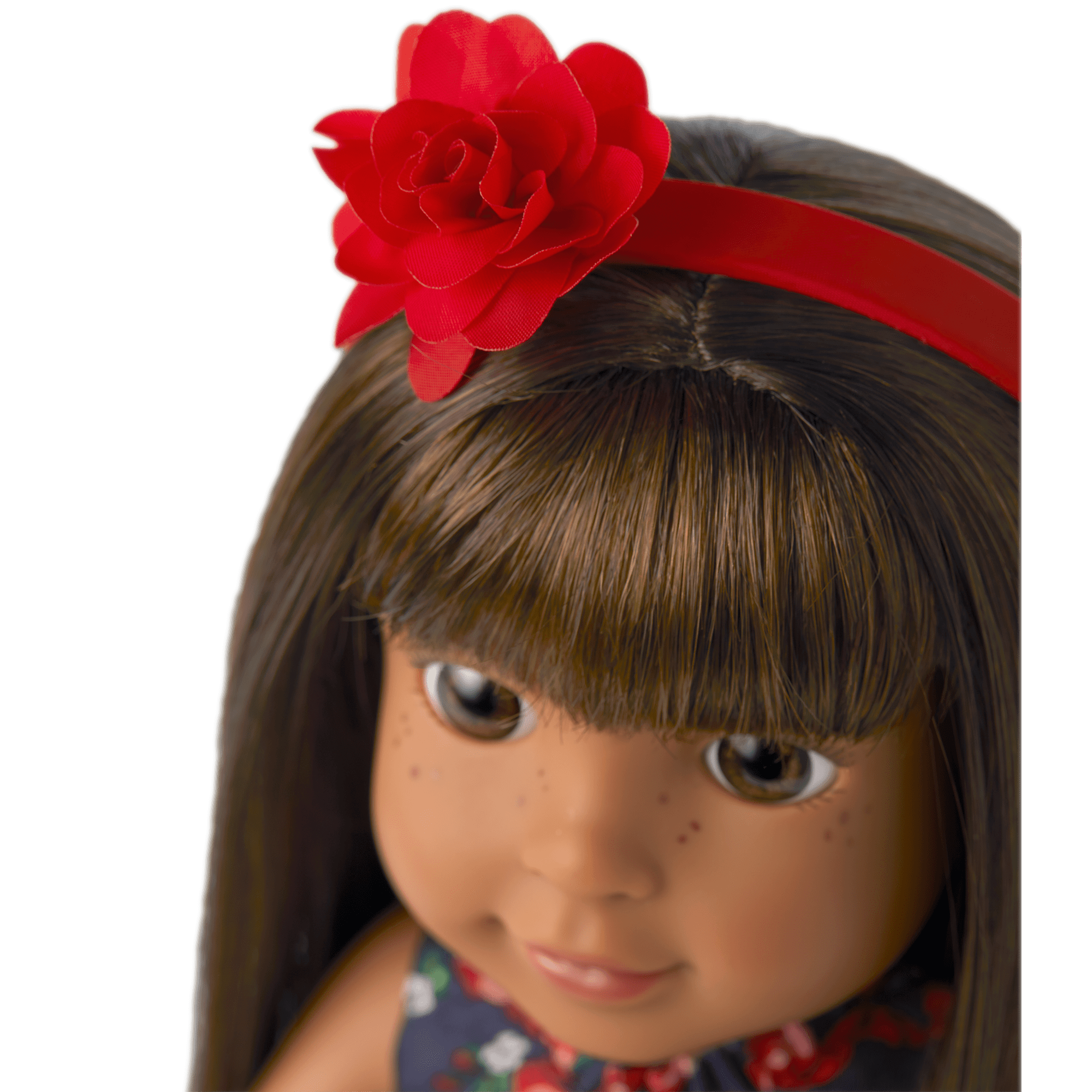 American Girl x Janie and Jack Wrapped in Roses Party Dress for WellieWishers Dolls - Image 4