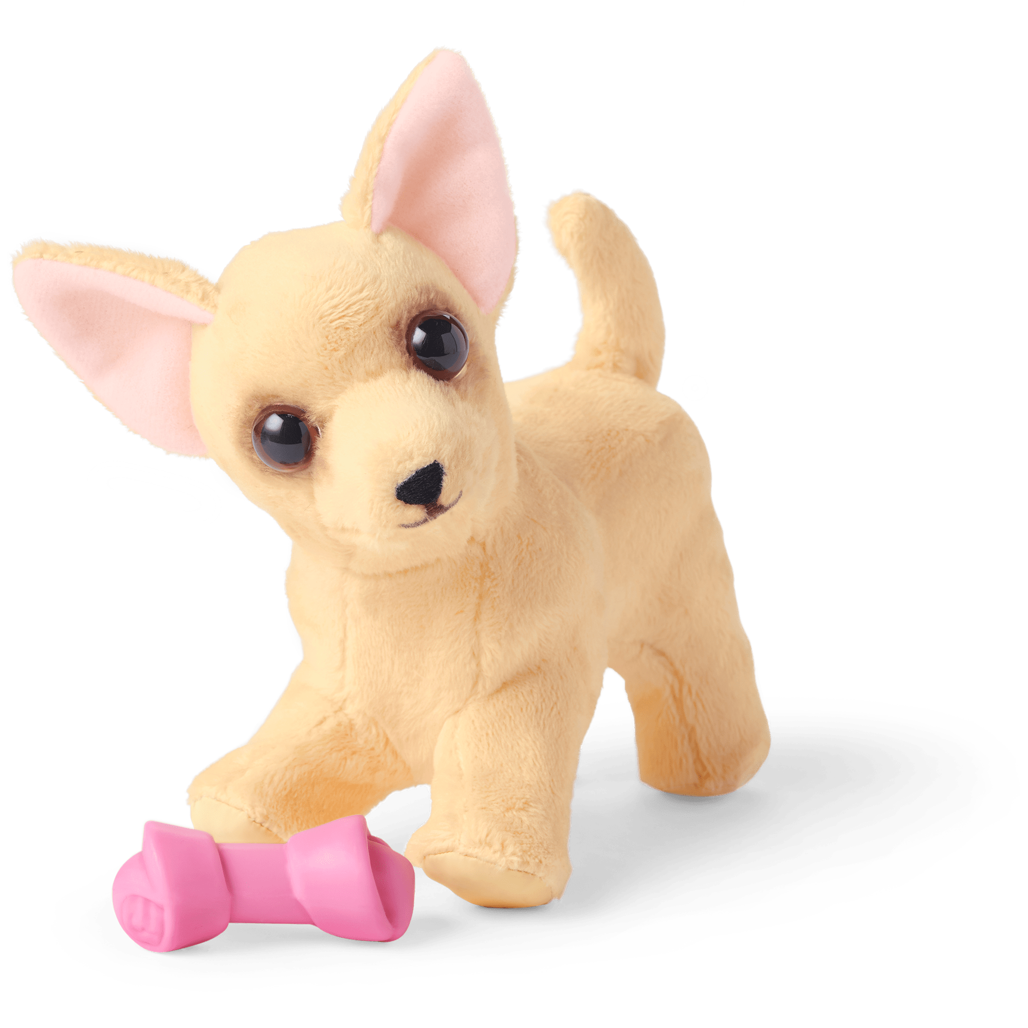 Dog Lover Basket - Image 5