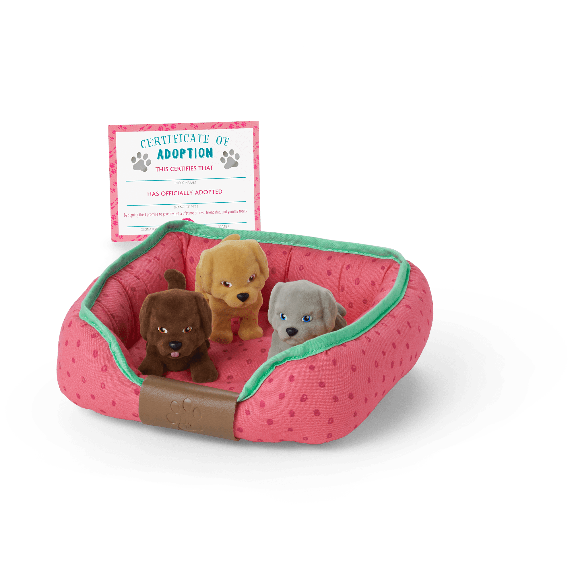 Dog Lover Basket - Image 6